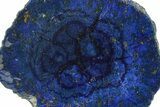 Vivid Blue, Cut/Polished Azurite Nodule Slice - Siberia #209478-1